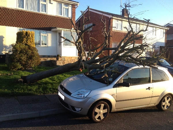 Storm Damaged Tree & car in Eastwood