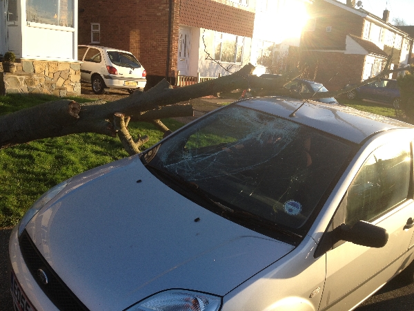 Storm Damaged Tree & car in Eastwood