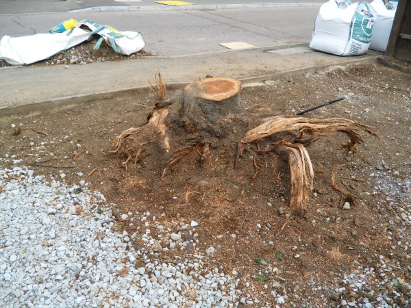 Tree Stump Removal Basildon Essex