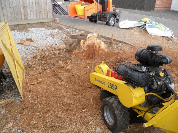 Tree Stump Removal Basildon Essex