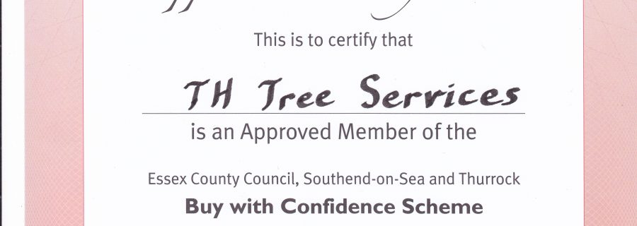 trading standard tree surgeon certificate